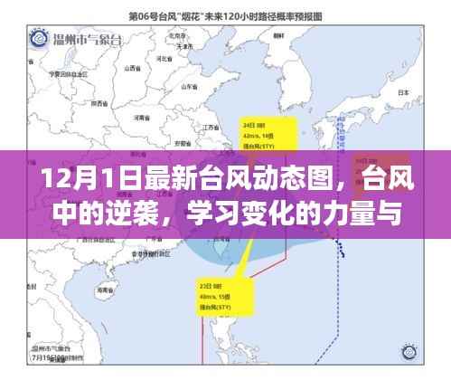 台风逆袭背后的力量与乐观幽默,最新动态图解析
