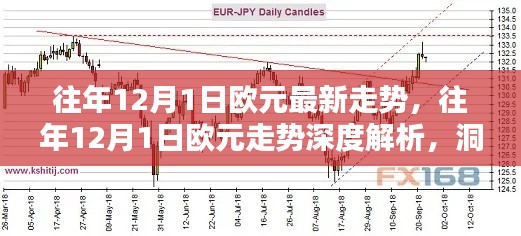洞悉往年12月1日欧元走势深度解析，最新动态与未来趋势预测