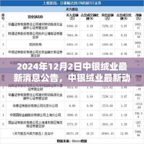 中银绒业最新动态解析,产品特性、用户体验与目标用户群体深度分析(2024年12月)
