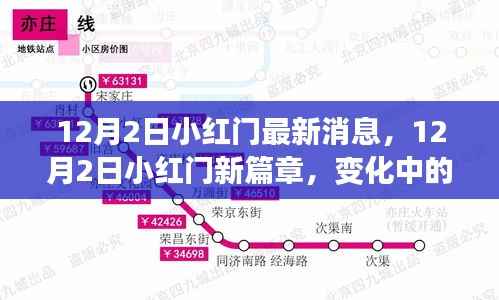 12月2日小红门新动态，变革中的学习之路，自信与成就感的培育源泉