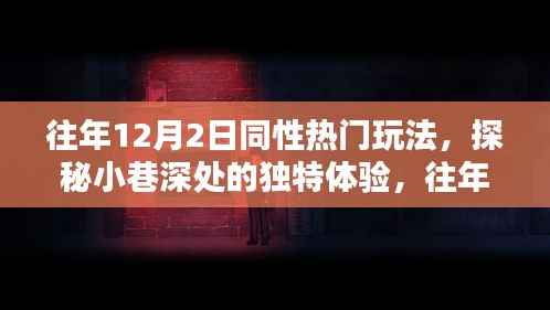 往年12月2日同性热门玩法,小巷深处的独特体验与隐藏小店的奇遇