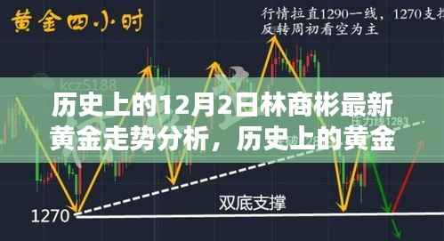 林商彬深度解析黄金走势,历史回顾与最新预测(12月2日分析)