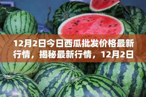 揭秘最新行情,深度解析12月2日西瓜批发价格走势及最新行情