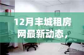 丰城租房市场十二月最新动态解析,深度聚焦观点与洞察