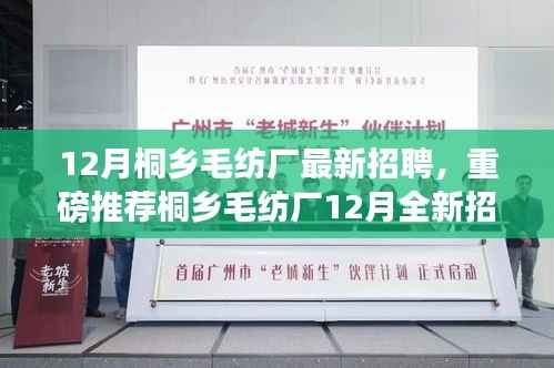 桐乡毛纺厂12月全新招聘启事,职业梦想从这里起航!