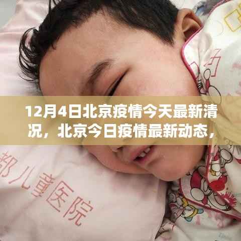 北京疫情最新动态,背景、进展与影响,今日疫情最新情况分析(12月4日)