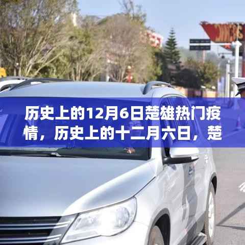 历史上的十二月六日,楚雄疫情风云变迁回顾