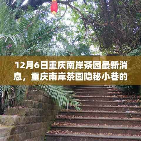 重庆南岸茶园隐秘小巷特色小店探秘之旅(最新消息)