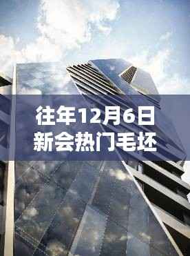 揭秘新会热门毛坯二手楼市，购房者三大关注点解析（往年12月6日）