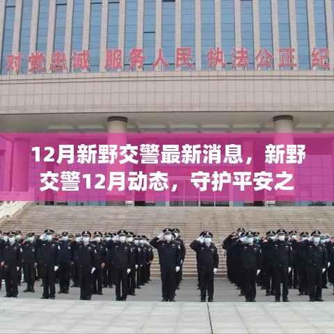 新野交警12月动态更新,守护平安之路,铸就时代新荣光