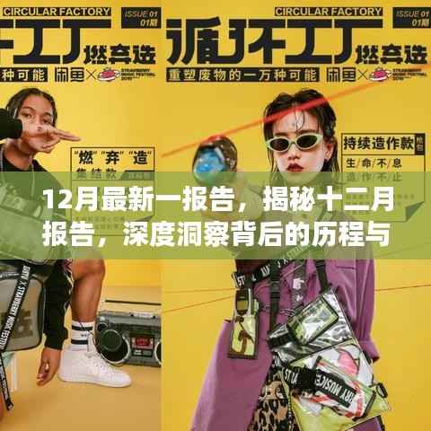 揭秘十二月报告,深度洞察背后的历程与影响全揭秘