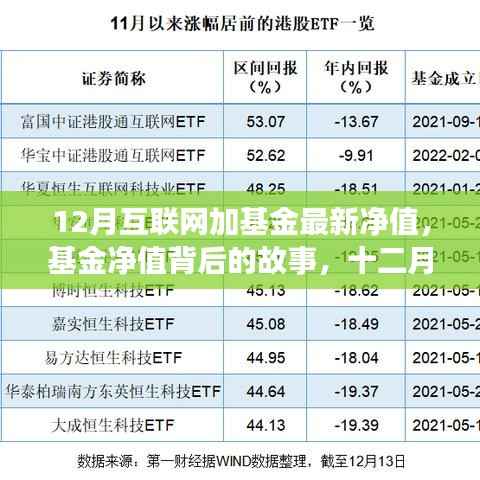 十二月互联网加基金最新净值,温情陪伴背后的投资故事