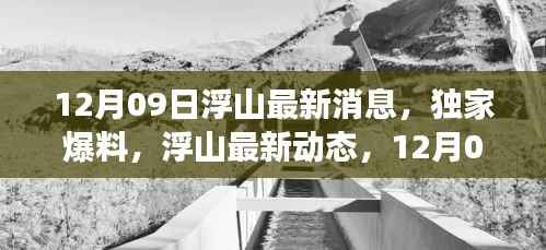 12月09日浮山独家爆料,最新动态与震撼更新