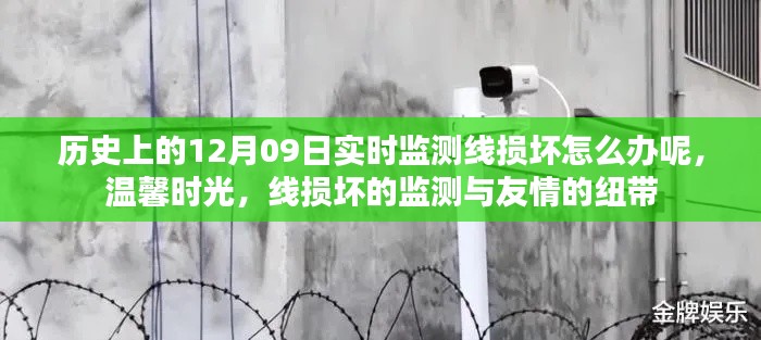 建议,温馨时光中,线损坏监测与友情纽带的修补