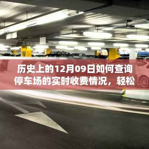 如何查询停车场实时收费情况?详细步骤指南(历史上的12月09日版)