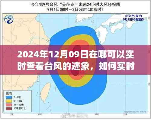 2024年12月09日台风迹象实时查看指南,全方位教程,适用于初学者与进阶用户