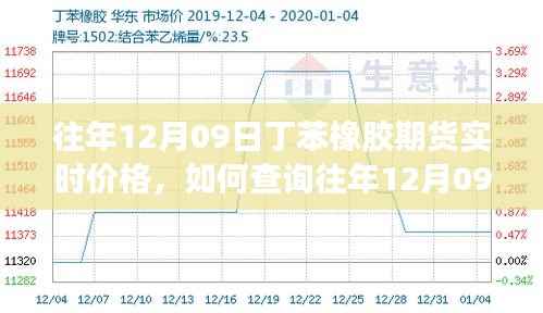 如何查询往年12月09日丁苯橡胶期货实时价格，详细步骤及最新价格信息指南