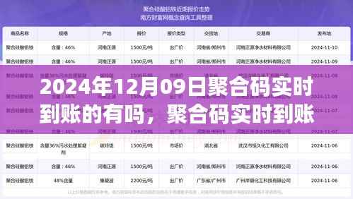 2024年聚合码实时到账可行性探讨,以观察日12月09日为切入点