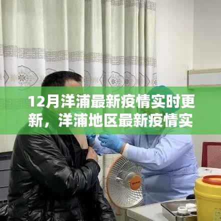 洋浦地区最新疫情实时更新，初学者与进阶用户防疫指南