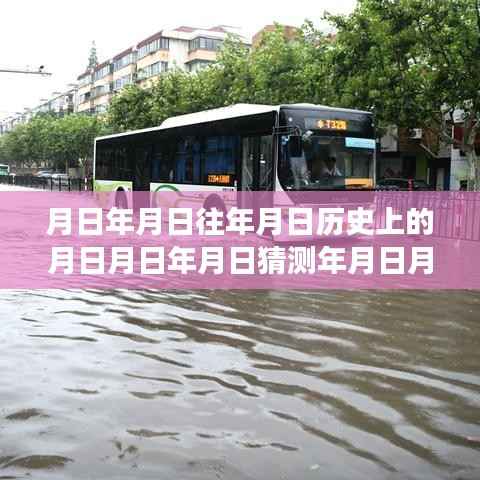 心灵与台风共舞,追寻利奇马台风实时动态的自然探索之旅