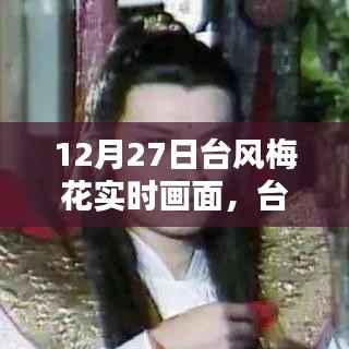 台风梅花来袭,12月27日实时画面与各方观点探析