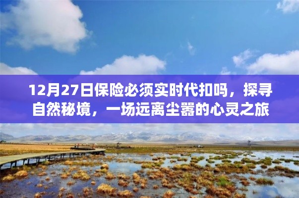 保险代扣与心灵之旅,探寻自然秘境的远离尘嚣之旅