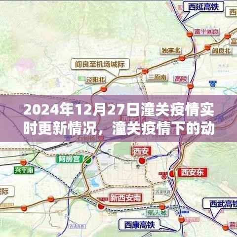 潼关疫情深度分析，实时更新与应对策略