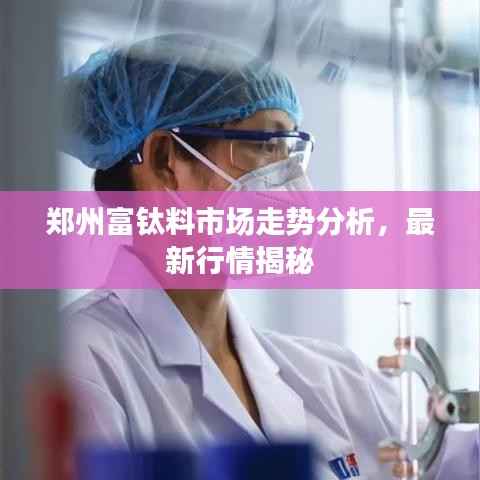 郑州富钛料市场走势分析,最新行情揭秘