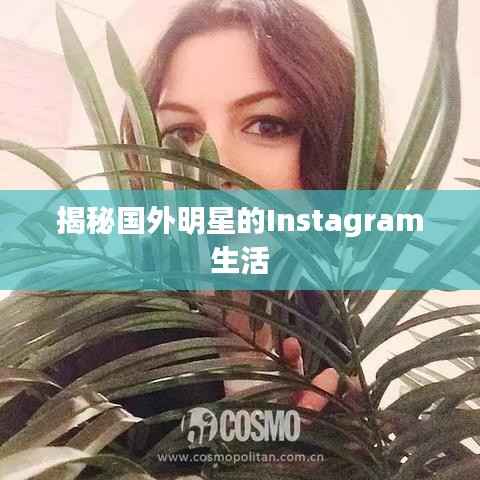 揭秘国外明星的Instagram生活