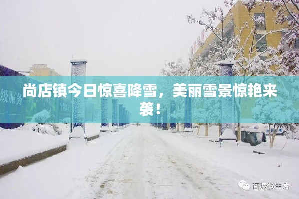尚店镇今日惊喜降雪,美丽雪景惊艳来袭!