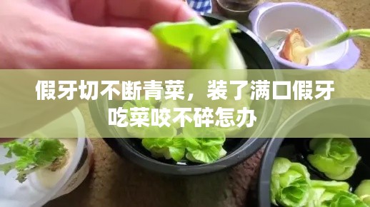 假牙切不断青菜，装了满口假牙吃菜咬不碎怎办 