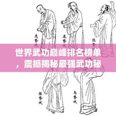 世界武功巅峰排名榜单,震撼揭秘最强武功秘籍!
