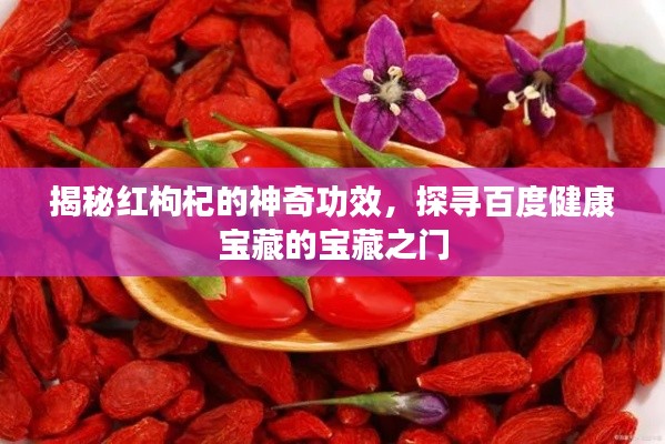 揭秘红枸杞的神奇功效,探寻百度健康宝藏的宝藏之门