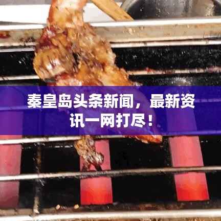 秦皇岛头条新闻,最新资讯一网打尽!