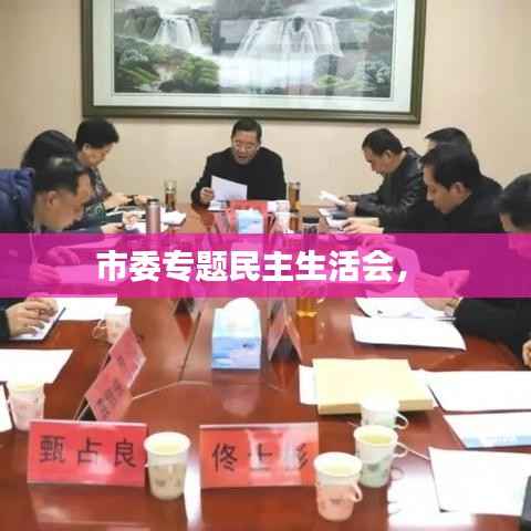 市委专题民主生活会,