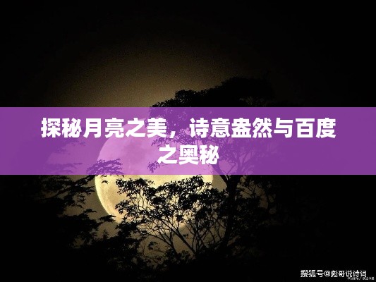 探秘月亮之美,诗意盎然与百度之奥秘