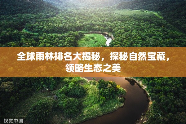 全球雨林排名大揭秘,探秘自然宝藏,领略生态之美