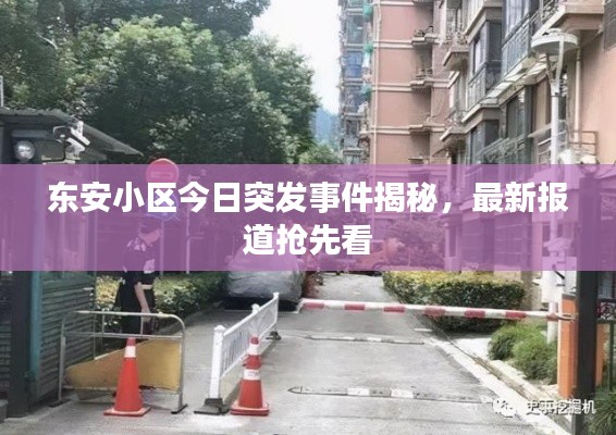 东安小区今日突发事件揭秘,最新报道抢先看