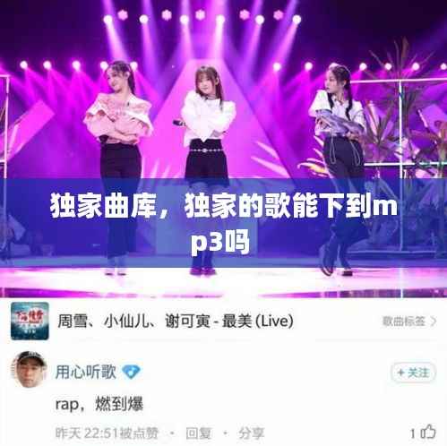 独家曲库,独家的歌能下到mp3吗