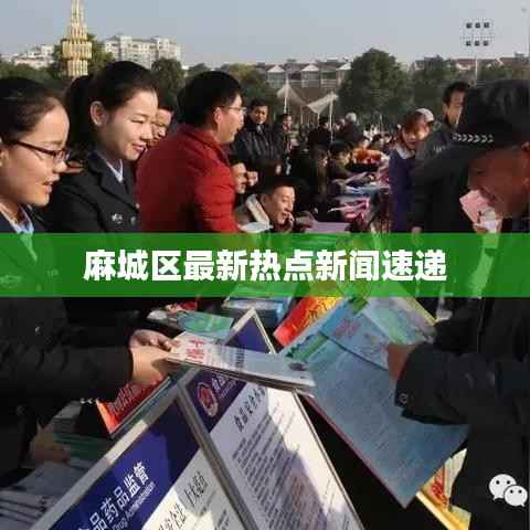 联系我们 第87页