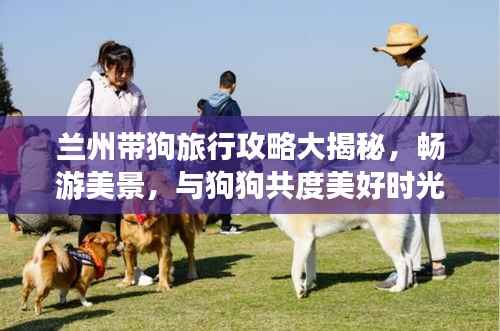 业绩展示 第87页