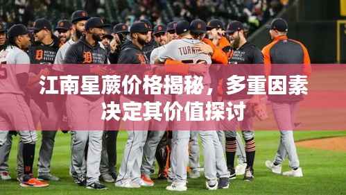 江南星蕨价格揭秘,多重因素决定其价值探讨