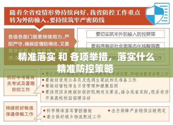 精准落实 和 各项举措,落实什么精准防控策略