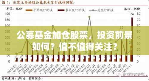 公募基金加仓股票,投资前景如何?值不值得关注?