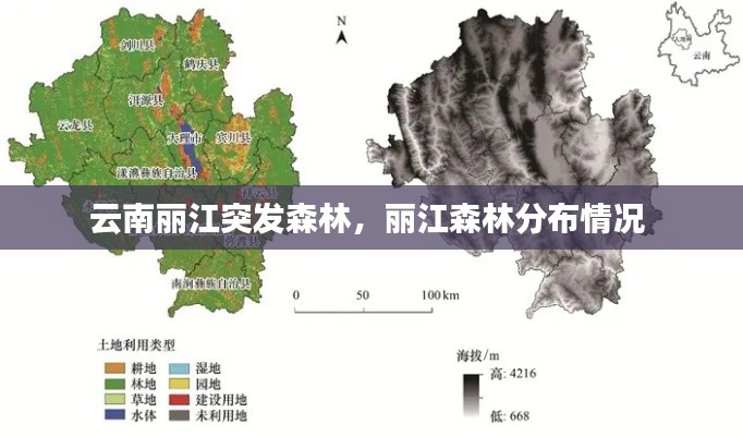 云南丽江突发森林，丽江森林分布情况 