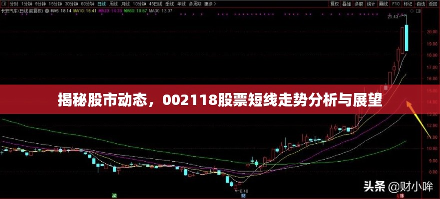 揭秘股市动态,002118股票短线走势分析与展望