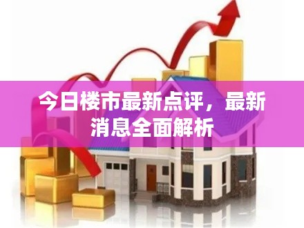 今日楼市最新点评,最新消息全面解析