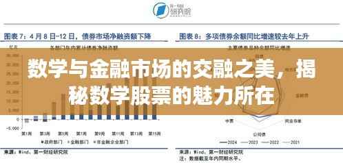 数学与金融市场的交融之美，揭秘数学股票的魅力所在