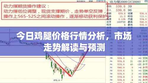 今日鸡腿价格行情分析，市场走势解读与预测