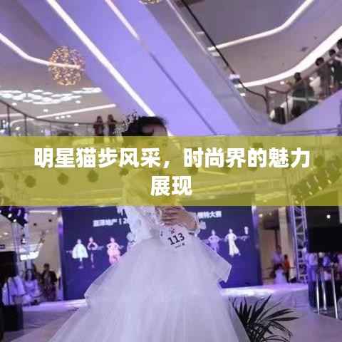 明星猫步风采,时尚界的魅力展现